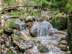 -牛背梁国家森林公园