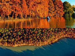 -上海海湾国家森林公园