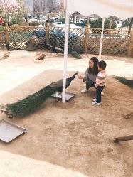 -萌宠亲子动物乐园(槐房万达店)