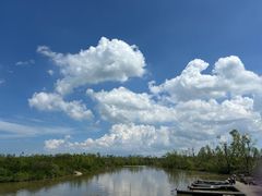 -东寨港红树林旅游区