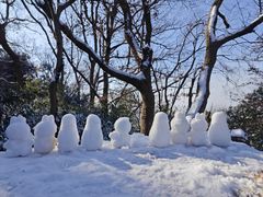 -紫金山山顶公园
