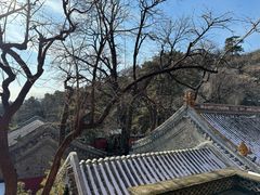 -潭柘寺景区