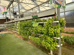 -阿菠萝小猪农场·萌宠乐园·亲子游·研学