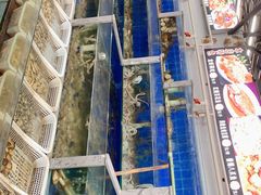 -常家活海鲜小吃(仅一家无分店)