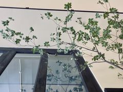 -小巨场咖啡