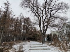 -长春市南湖公园