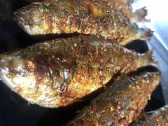 -兆辉木炭海鲜烧烤·海鲜小炒