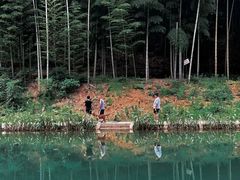 -龙坞茶村