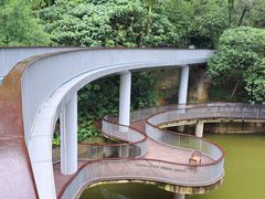 -银湖山郊野公园-相思林