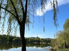 -北坞公园