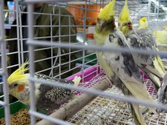 -三旗百汇商品城