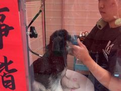 -FAELING PETS美天灵宠物(合生汇店)