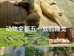 -杭州野生动物世界