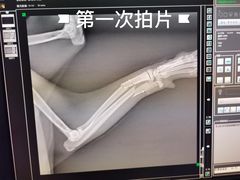 -爱侣宠医·鹦鹉专科·小型哺乳类·异宠专科(灵石路店)