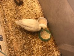 -狗道宠物(常熟印象城店)