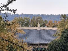 -灵谷景区