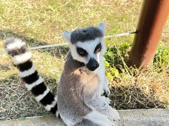 -杭州野生动物世界