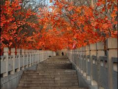 -抱犊寨风景区