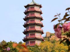 -石岛赤山风景区