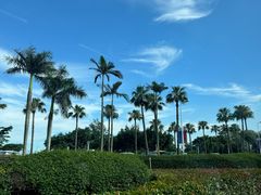 -厦门喜来登酒店