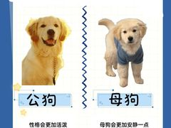 -唐小姐の猫狗洗护·购宠旗舰店(周浦万达店)