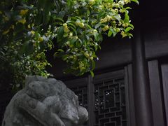 -上海醉白池公园