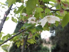 -首都师范大学(良乡校区)
