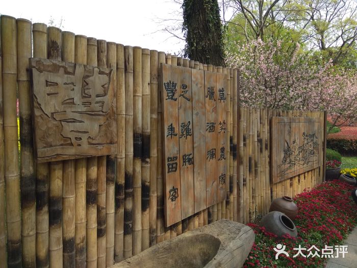 圩墩遗址公园图片