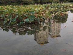 -昆山城市公园