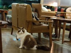 -咖法森林·咖啡  酒吧(天河店)