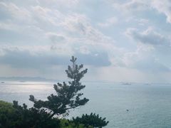 -灵山岛风景区