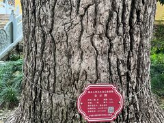 -狼山风景名胜区