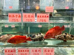 -东国海鲜火锅城(氹仔店)