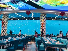 -瑞德姆美人鱼海底演艺主题餐厅(亚龙湾店)
