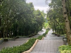 -深圳国际园林花卉博览园