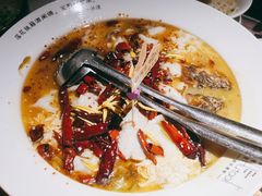 -胡桃里音乐酒馆(罗湖HALO广场店)