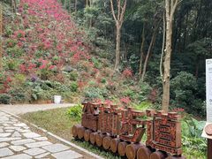 -广州市帽峰山景区