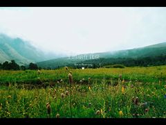 -灵山