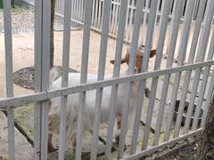 -洪湖家庭农场·团建·露营·会议