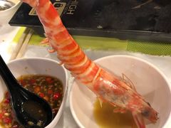 -鲜入围煮花胶鸡海鲜火锅