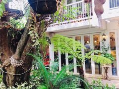 -Fern Forest Cafe