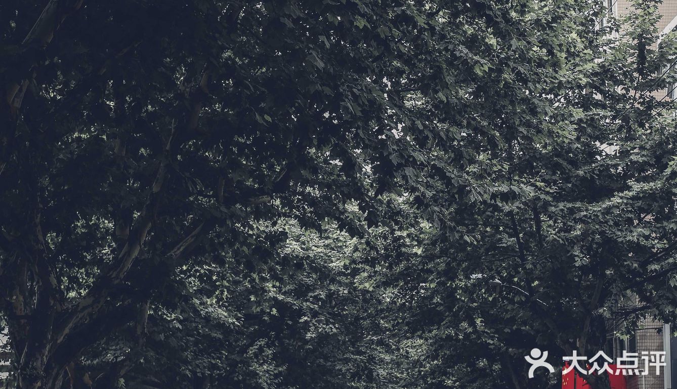 如果你到上海，一定要来思南路看看