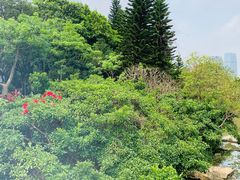 -云溪植物园