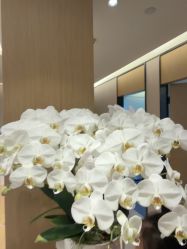 -Yestar杭州艺星医疗美容医院