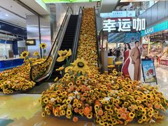 -吾悦广场(天津和平店)