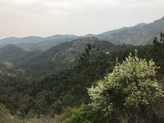 -木兰云雾山