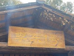 -李东农庄(中南百草园地标店)