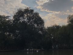 -洛阳市隋唐城遗址植物园