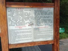 -新江湾城公园