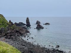 -涉地可支